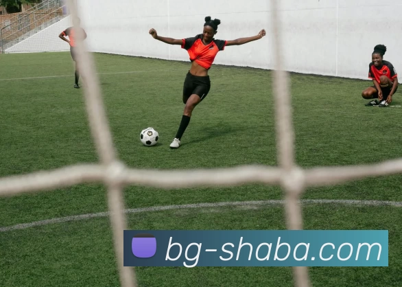 App Interface Preview