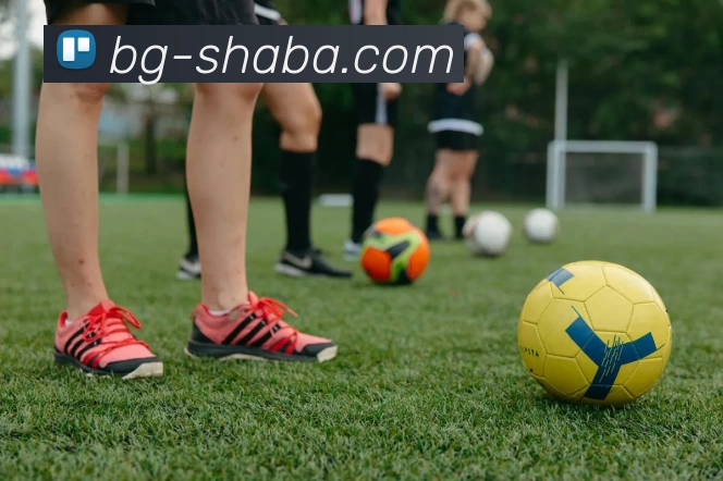 沙巴体育平台APP 封面图